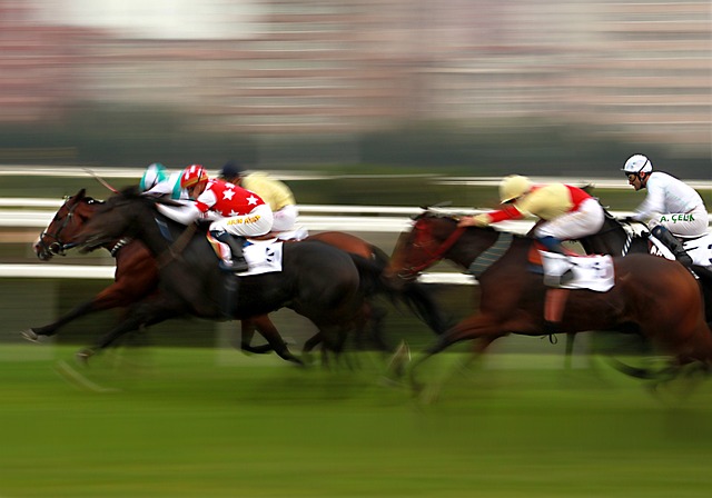 Horse Racing in Brazil