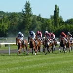 Online sports betting